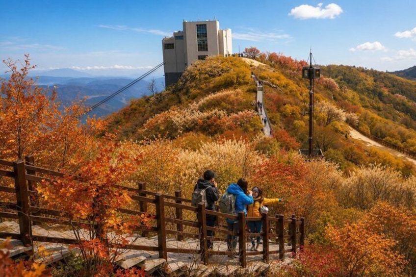 Busan Outskirts Tour with Ice Valley Cable Car & UNESCO Site 1