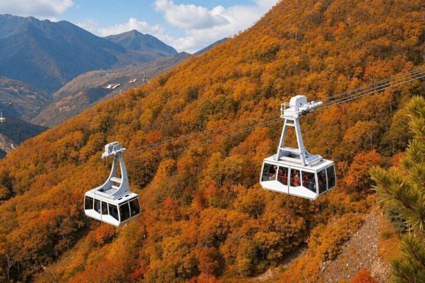 Busan Outskirts Tour with Ice Valley Cable Car & UNESCO Site 3