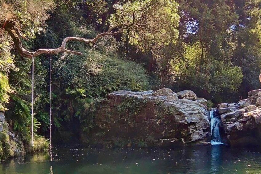 A waterfall in a forested area with rocks and trees. 5