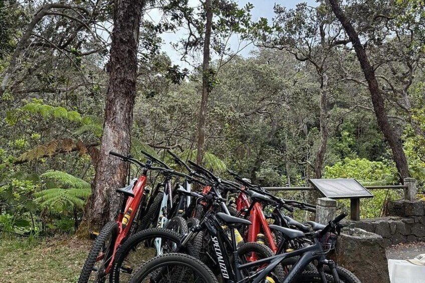 E Bike Volcanoes National Park Tour 5