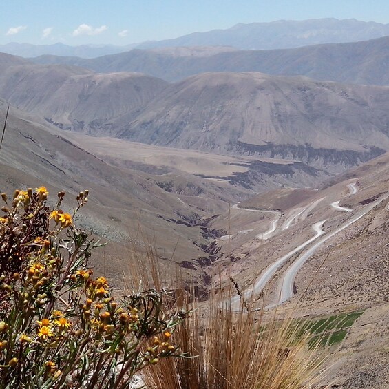 Picture 10 for Activity From Salta: Salinas Grandes, Purmamarca & Los Colorados Hike 2