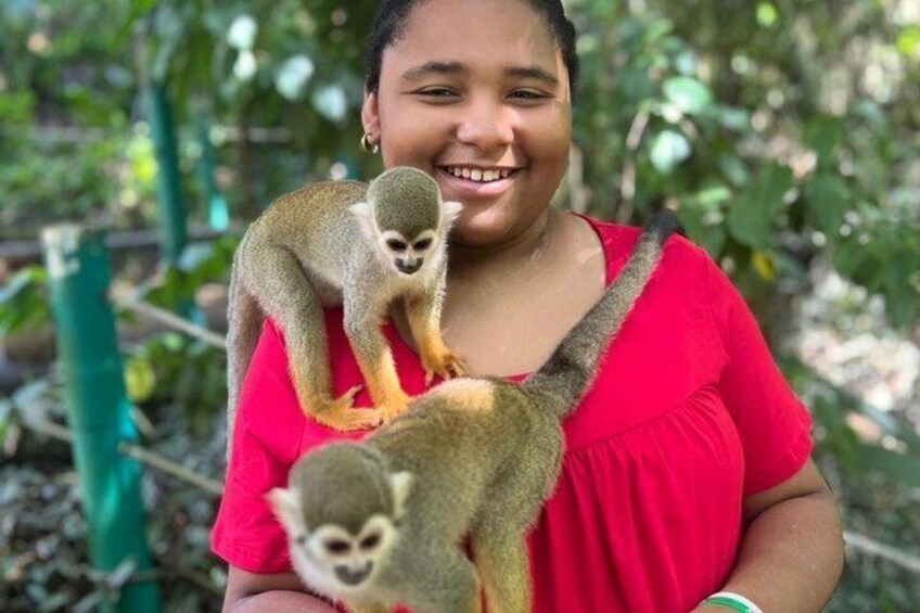 Shore Excursion | Monkey encounter & Damajagua Waterfalls 5