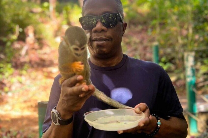 Shore Excursion | Monkey encounter & Damajagua Waterfalls 4