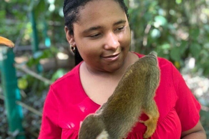 Shore Excursion | Monkey encounter & Damajagua Waterfalls 2