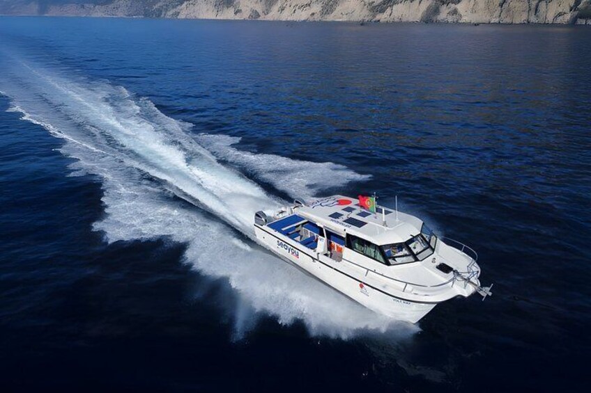 Funchal: Scenic Morning or Sunset Coastal Catamaran Tour 4