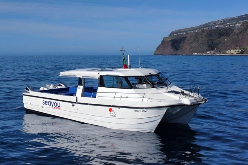 Funchal: Scenic Morning or Sunset Coastal Catamaran Tour 2