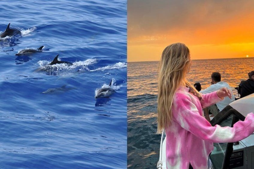 Delfine schwimmen im Meer, während die Sonne über dem Wasser untergeht. 1