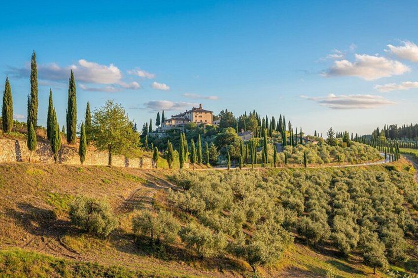Golf Cart Tour: Express Highlights of Florence 3