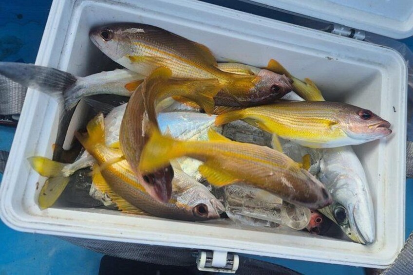 Bali Fun Fishing Charter with Hotel Transfer 2