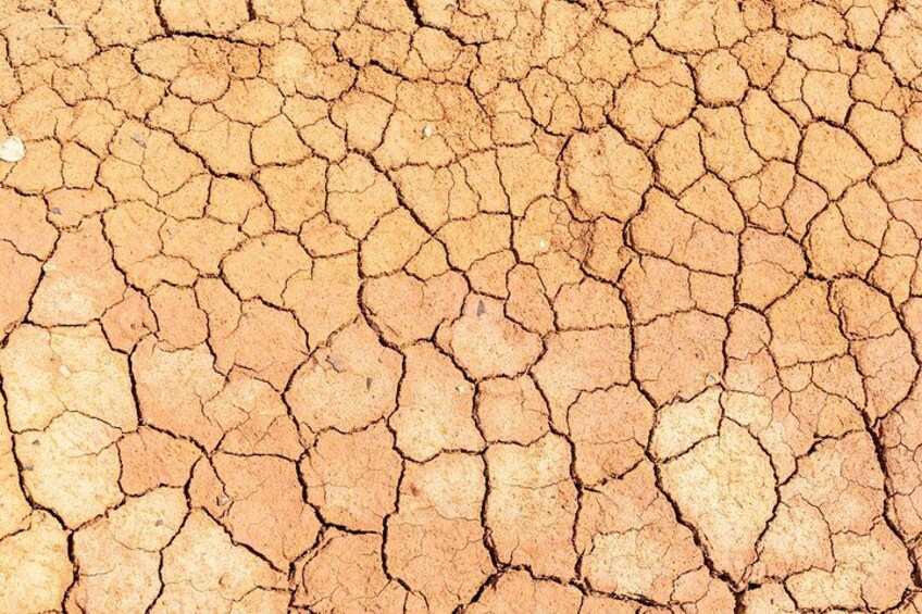 A dry, cracked earth surface. 4