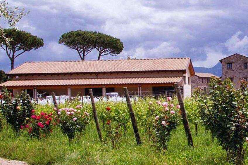 A building with a tiled roof, surrounded by lush greenery and flowering plants. 2