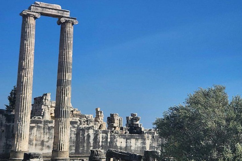 Ancient ruins with columns and statues. 5