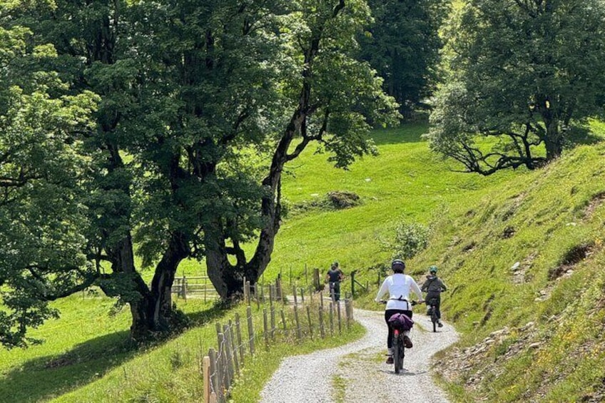 Rosenlaui Valley & Grosse Scheidegg E-Bike Tour from Interlaken 3