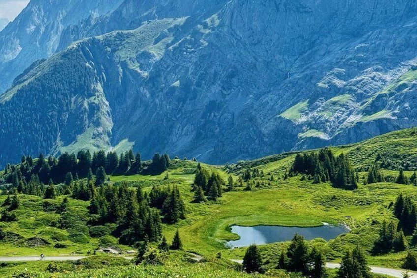 Rosenlaui Valley & Grosse Scheidegg E-Bike Tour from Interlaken 2