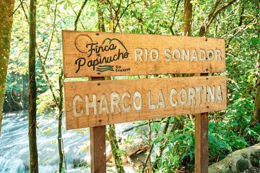 A wooden sign with text in a forested area. 4