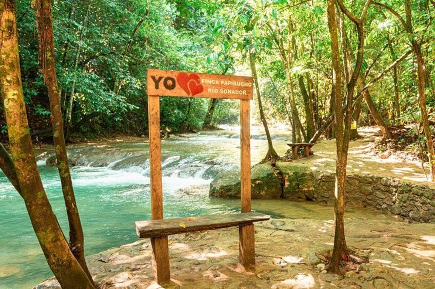 A wooden sign with 'Yo' and 'Rio Sonador' written on it, surrounded by a forested area with a river. 1