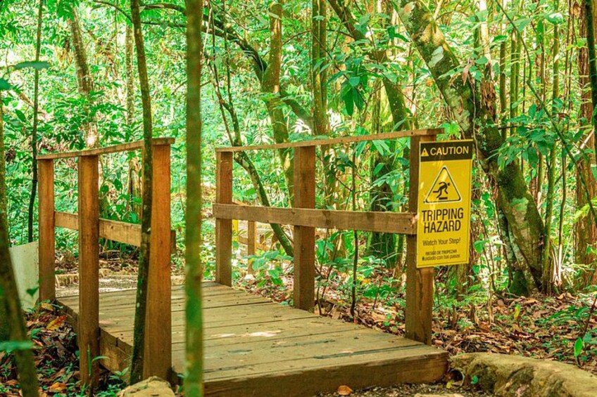 A wooden bridge in a forest with a caution sign warning of a tripping hazard. 5