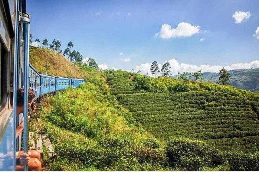 A train on a track, lush green tea plantations, and a clear blue sky. 3