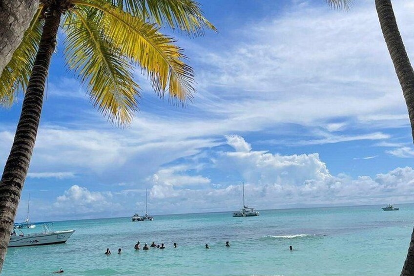 A tropical beach with palm trees, clear turquoise water, and several boats. 4