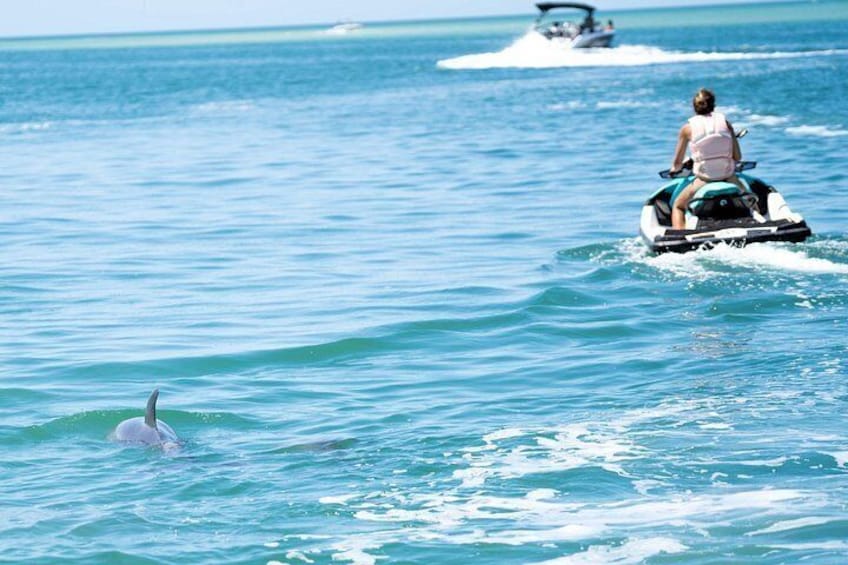 St. Pete 2-Hour Guided Jet Ski Adventure | Dolphins, Islands 5
