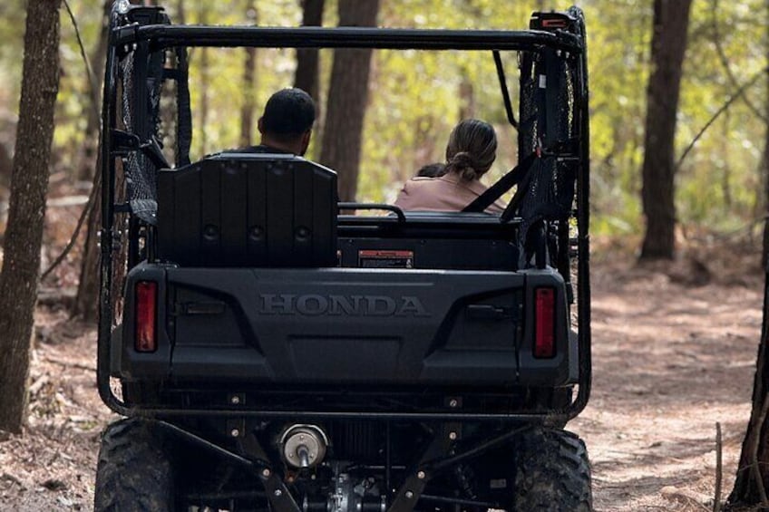 A black Honda off-road vehicle with two people in the back, driving through a forest. 2