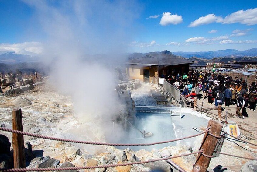 Mt. Fuji and Hakone Day Tour with Bullet Train Return 2