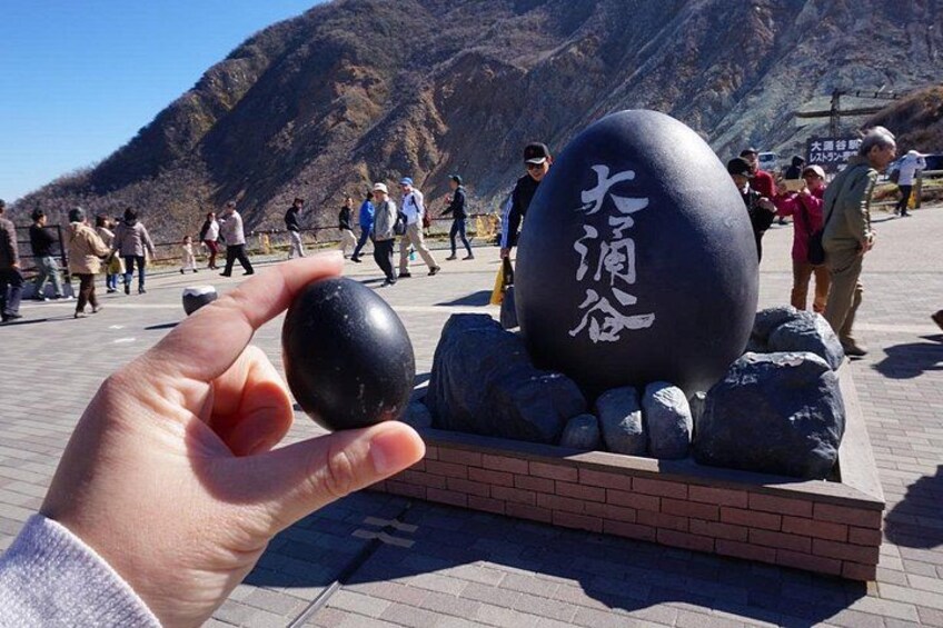 Mt. Fuji and Hakone Day Tour with Bullet Train Return 4