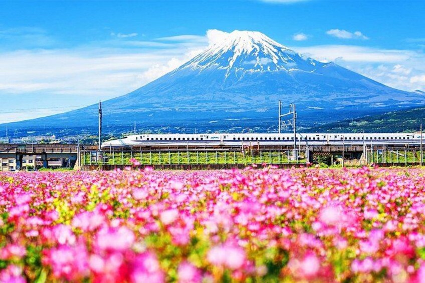 Mt. Fuji and Hakone Day Tour with Bullet Train Return 5