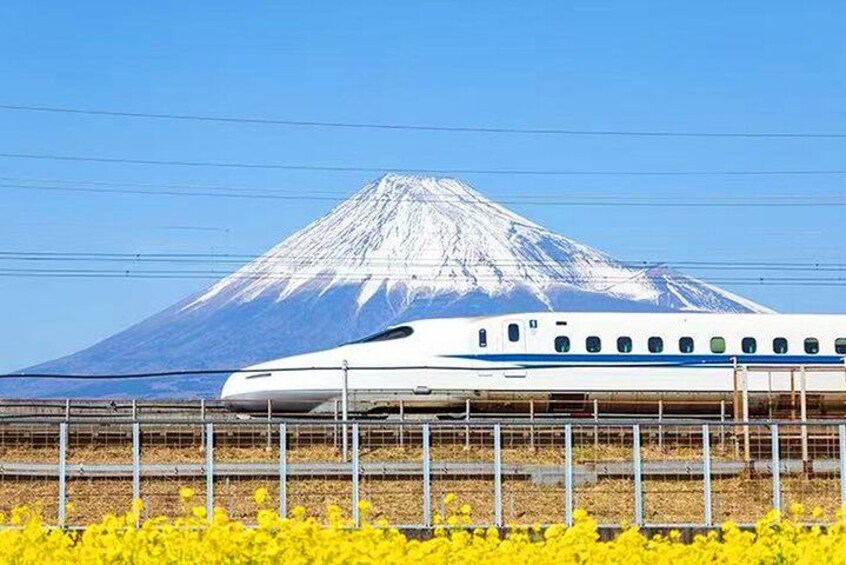 Mt. Fuji and Hakone Day Tour with Bullet Train Return 1