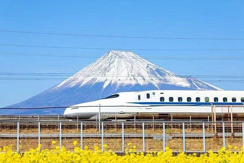 Mt. Fuji and Hakone Day Tour with Bullet Train Return 1