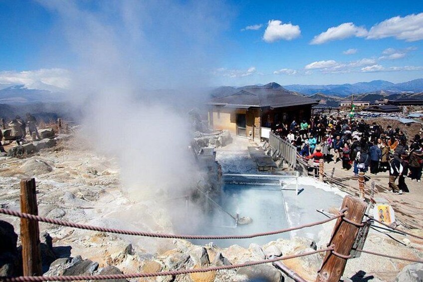 Mt. Fuji and Hakone Day Tour with Bullet Train Return 2