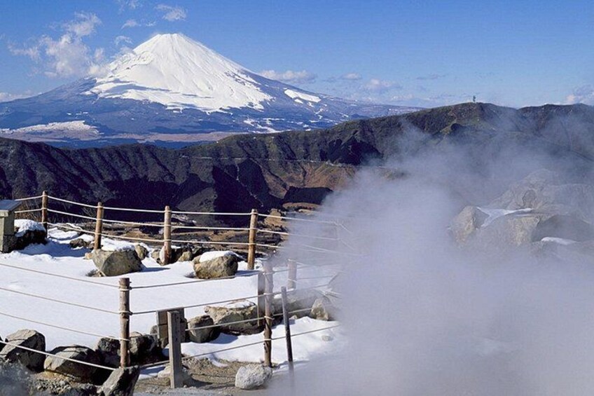 Mt. Fuji and Hakone Day Tour with Bullet Train Return 3