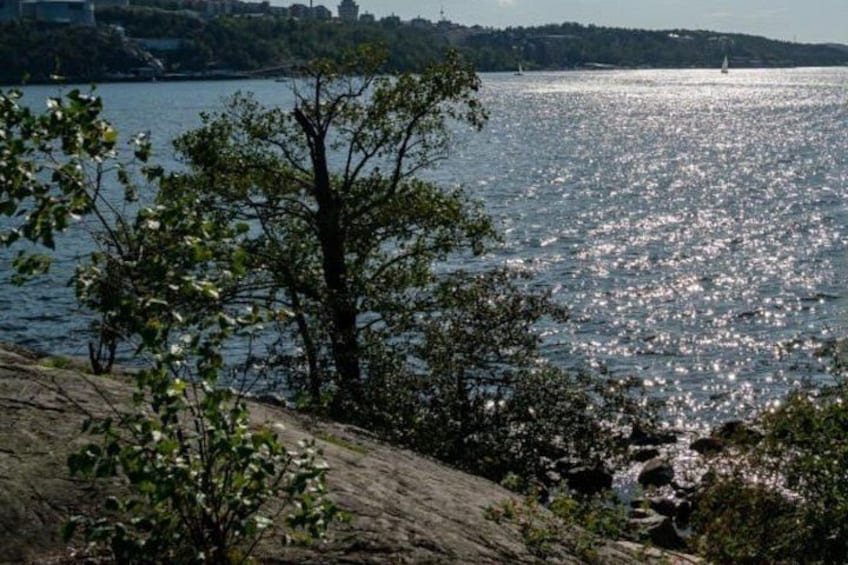 Stockholm Guided Archipelago Cruise Tour with Swedish Fika 5
