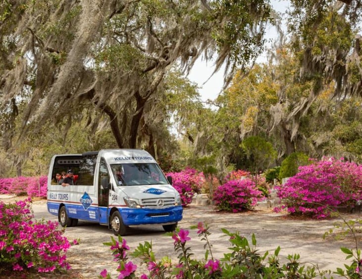 Wormsloe Plantation & Bonaventure Cemetery Tour