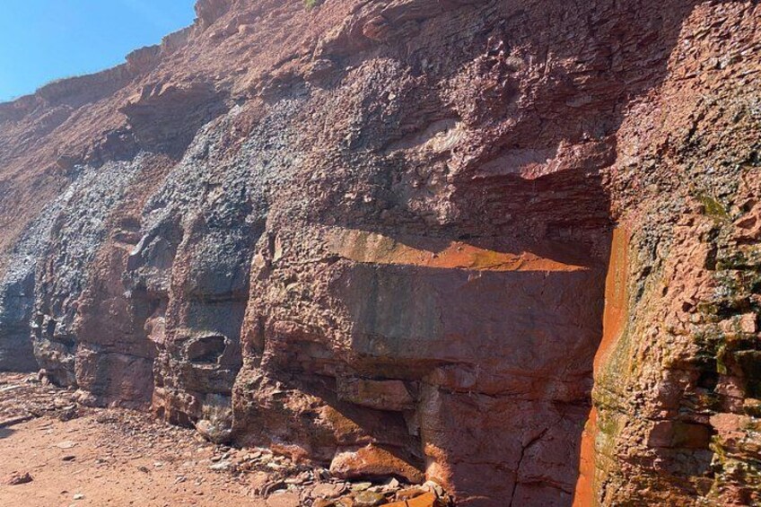 Confederation Bridge and South Shore of PEI - Private Tour 3