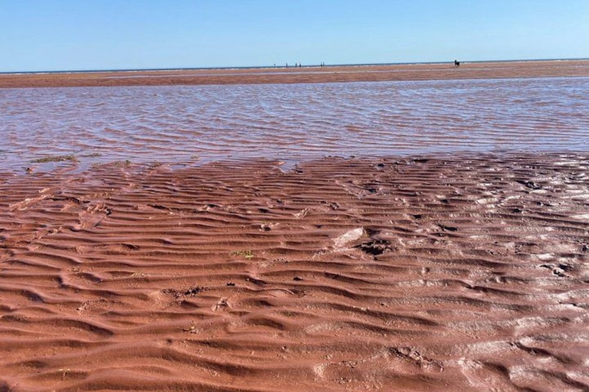 Confederation Bridge and South Shore of PEI - Private Tour 3