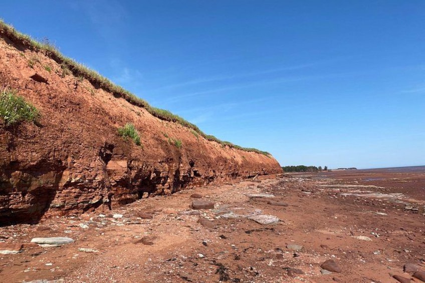 Confederation Bridge and South Shore of PEI - Private Tour 4