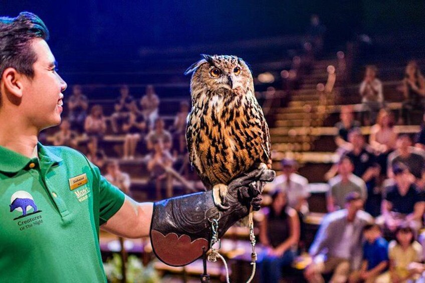 2-Park Combo Night Safari + Singapore Zoo Tickets 2