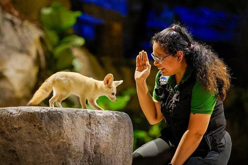 2-Park Combo Night Safari + Singapore Zoo Tickets 2