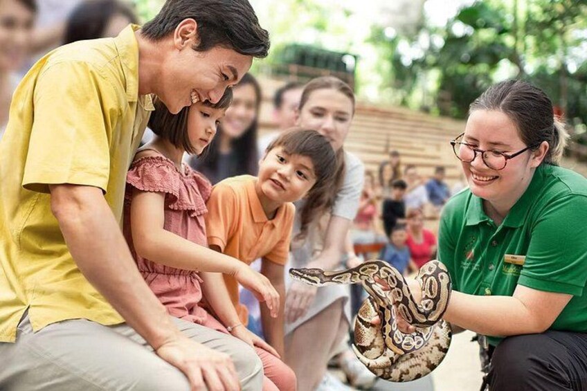 A person holding a snake, with a child and another person observing. 4