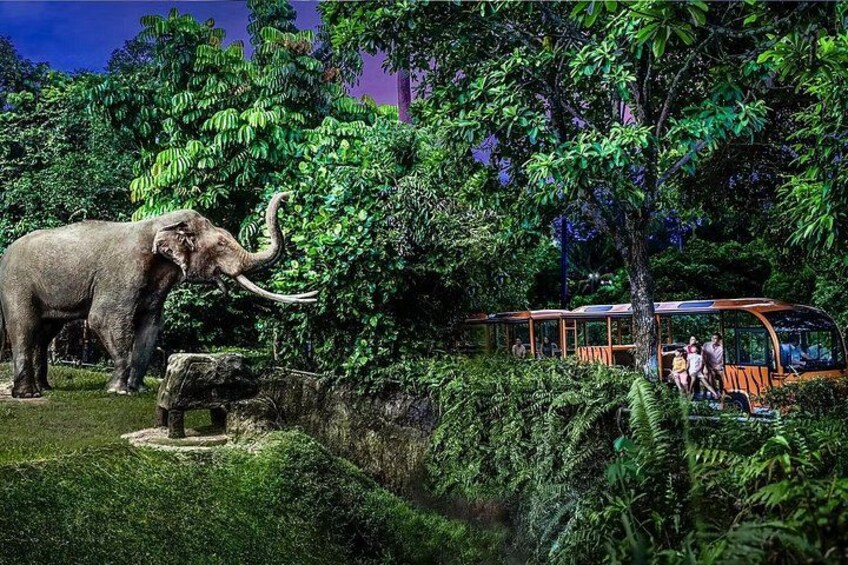 2-Park Combo Night Safari + Singapore Zoo Tickets 3