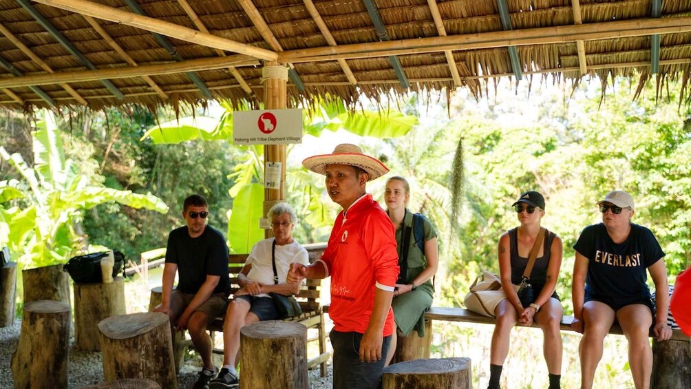 Picture 8 for Activity Phuket: Small-Group Elephant Nature Walk with Sea Views 5