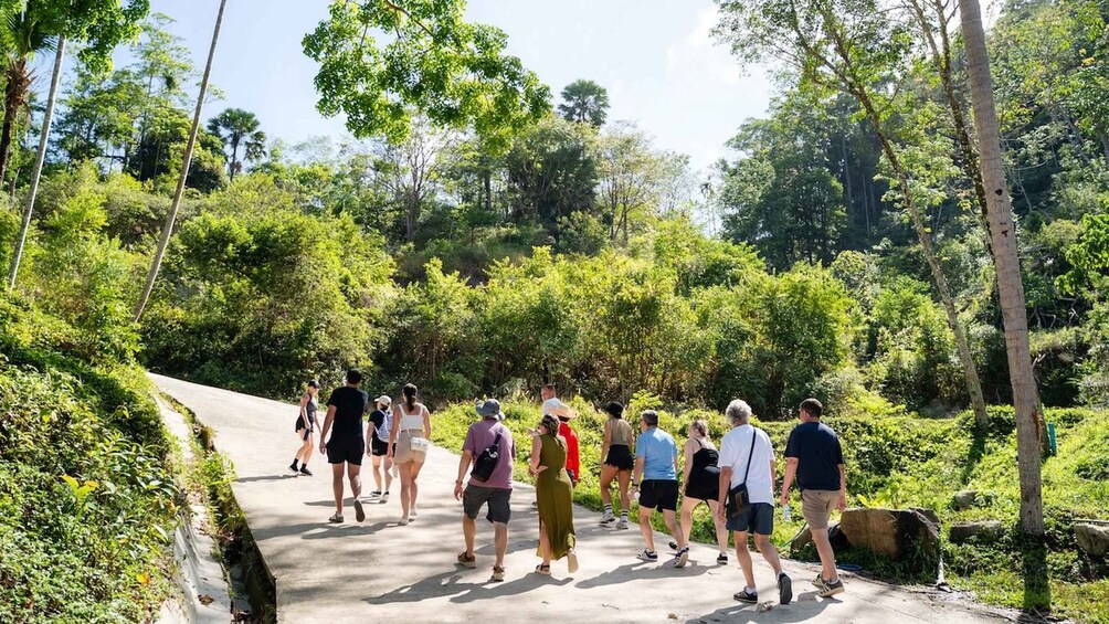 Picture 13 for Activity Phuket: Small-Group Elephant Nature Walk with Sea Views 2