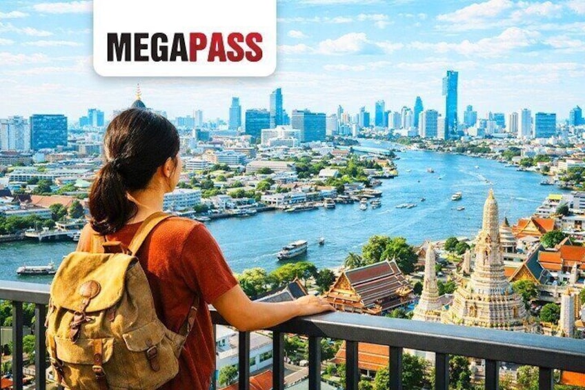 A person overlooking a cityscape with a river, boats, and a temple. 1