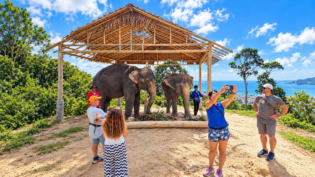 Phuket:(Save 20%) Family & Kids Elephant Learning Experience 1