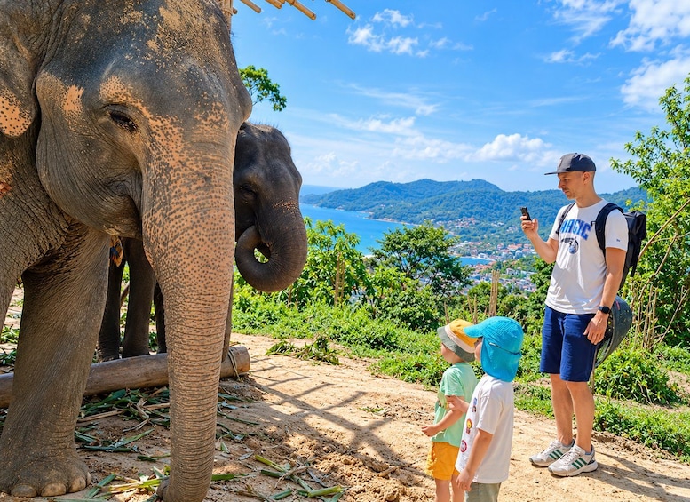 Phuket: Family Elephant Discovery Walk with Patong Sea Views 1