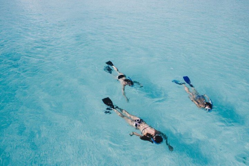 Three people swimming in a clear blue pool. 3