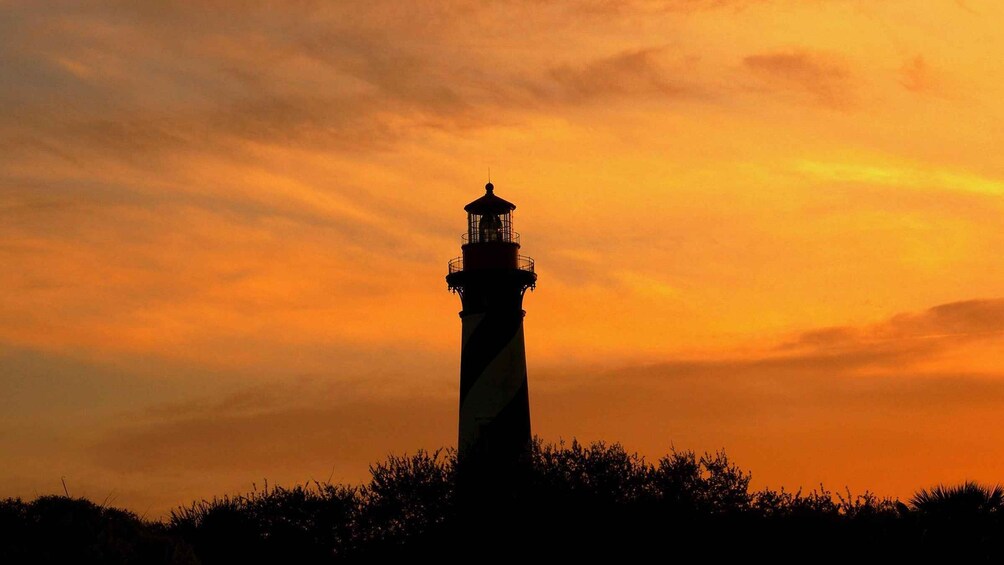 Picture 1 for Activity St Augustine: Dolphin & Landmark Cruise with Sunset Option 4