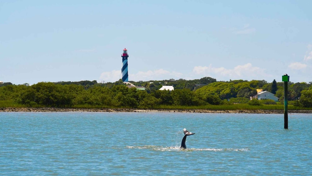 Picture 2 for Activity St Augustine: Dolphin & Landmark Cruise with Sunset Option 5