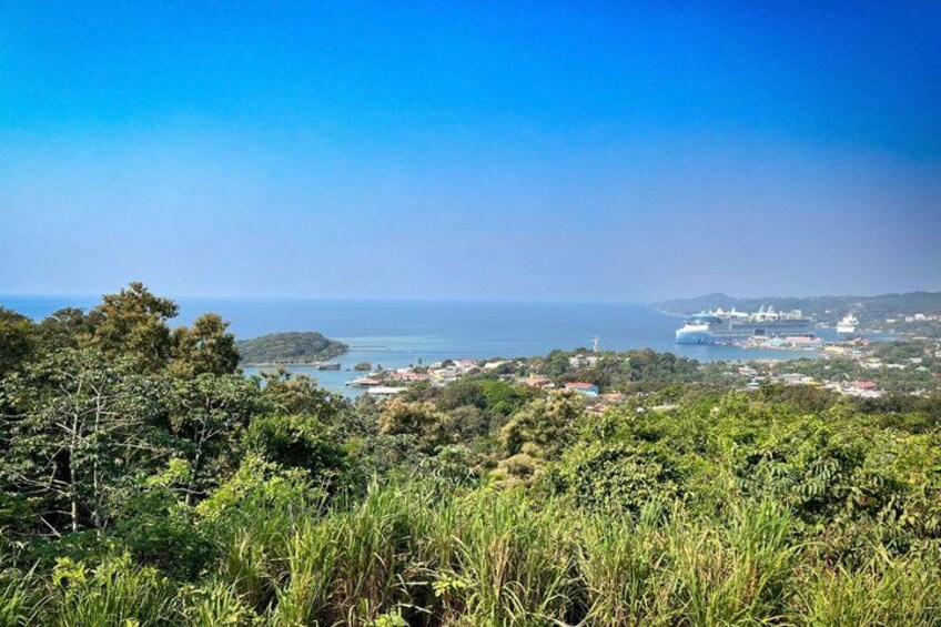 A coastal landscape with dense greenery, a clear blue sky, and a distant view of a harbor with ships. 2